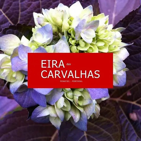 Eira Carvalhas * Penafiel
