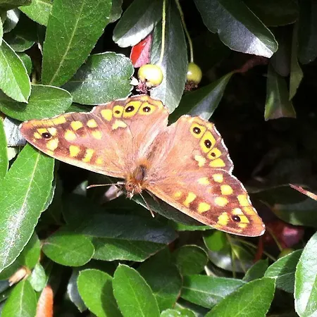 Eira Carvalhas Σπίτι διακοπών