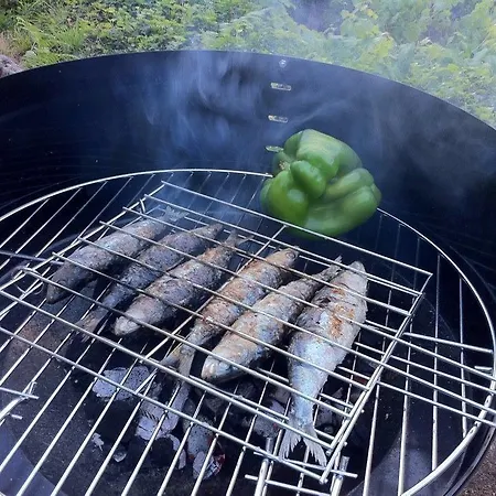 Σπίτι διακοπών Eira Carvalhas