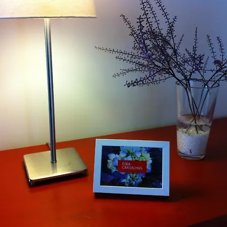 Holiday home Eira Carvalhas Penafiel