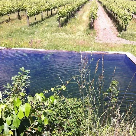 Σπίτι διακοπών Eira Carvalhas