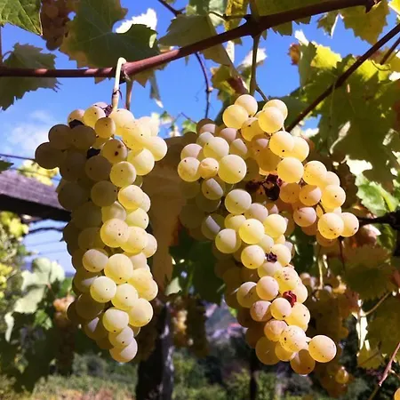 Eira Carvalhas Σπίτι διακοπών