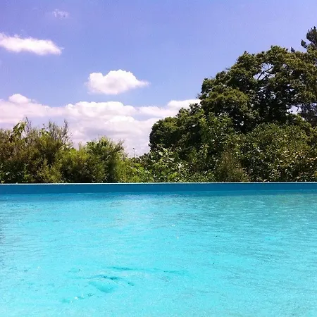 Eira Carvalhas Penafiel