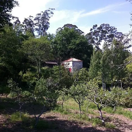 Eira Carvalhas * Penafiel