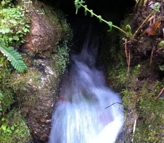 Eira Carvalhas 度假居