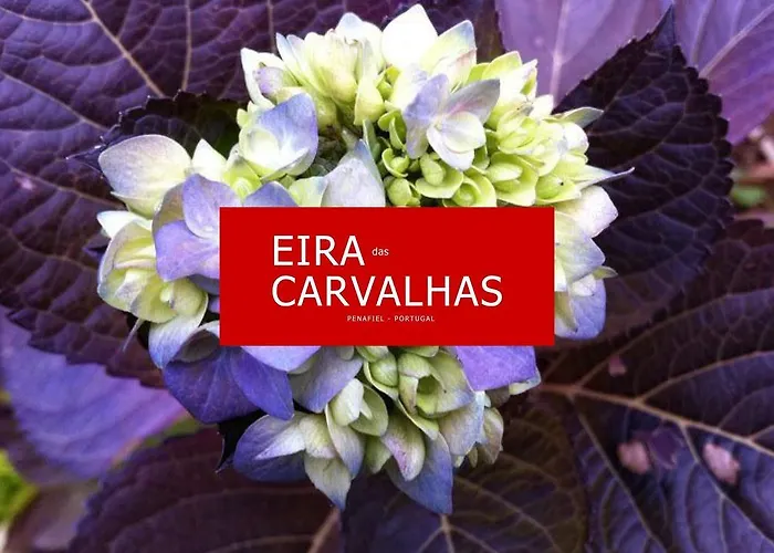 Eira Carvalhas * Penafiel