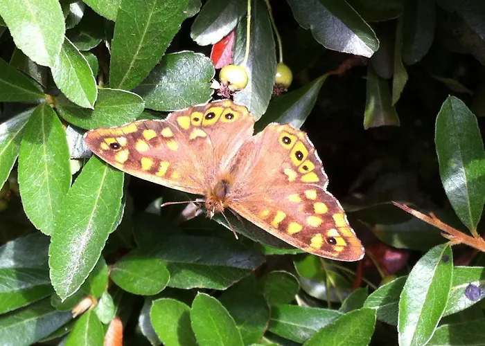 Eira Carvalhas 펜션