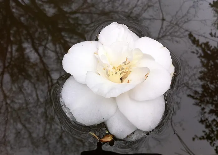 펜션 Eira Carvalhas