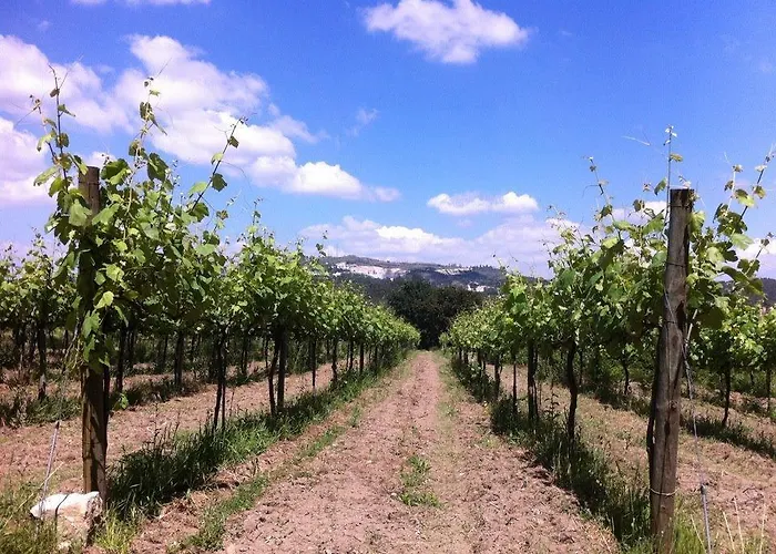 Eira Carvalhas 펜션