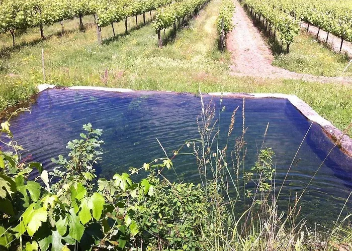 Holiday home Eira Carvalhas