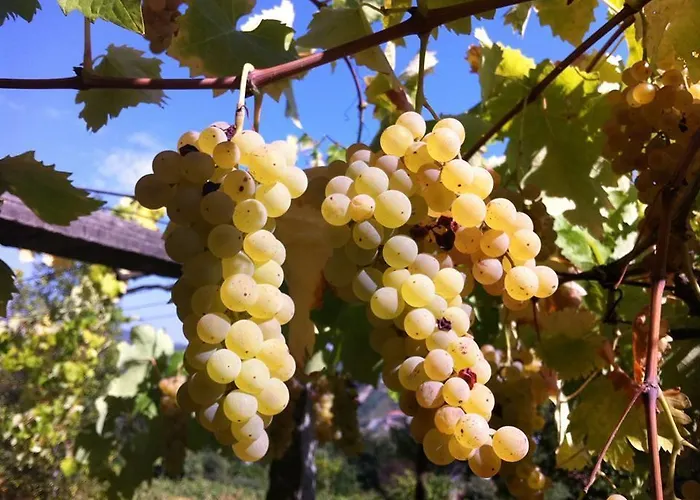 Eira Carvalhas Holiday home