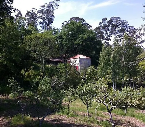 Eira Carvalhas * Penafiel